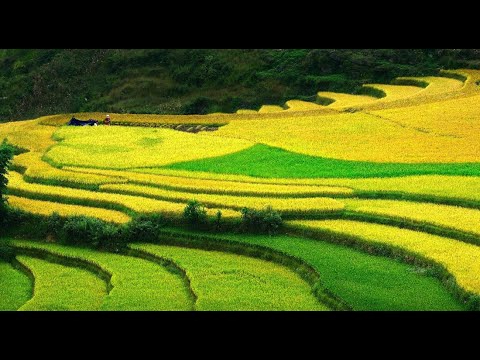 Hotspot Matrix và Nữ diễn viên Đẹp hơn thiên đường: Visual sang chảnh, style đời thường_Facebook Reels video ngắn