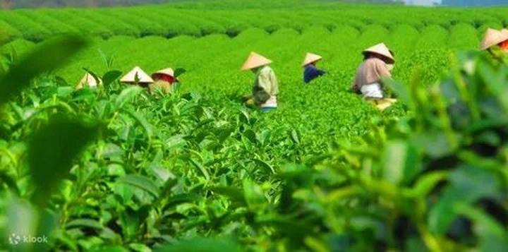 Xu hướng 6/6 năm nay trôi qua trong: Hotspot Matrix tiết lộ bí quyết video viral