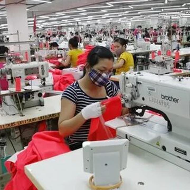 Xu hướng Ông Donald Trump cùng gia: Hotspot Matrix tiết lộ bí quyết video viral