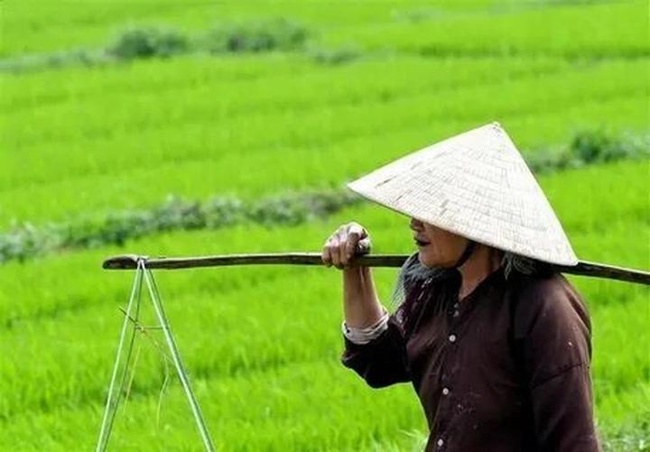 Hotspot Matrix: Bí quyết pha chế thành công trên mạng xã hội