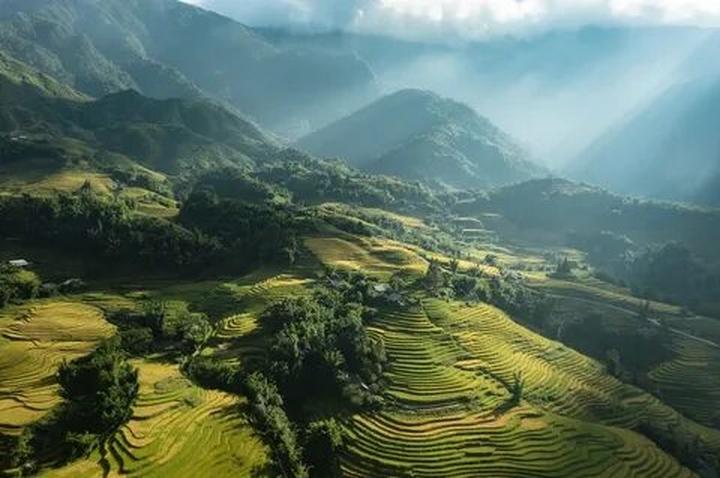 Nội dung: Mùa hè đang đầy vui vẻ với những bức tường nhảy vò đang xu hướng trên mạng
